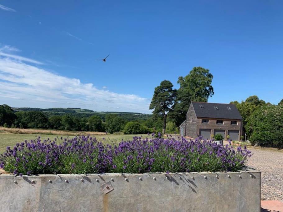 The Coach House Leilighet Alderbury Eksteriør bilde