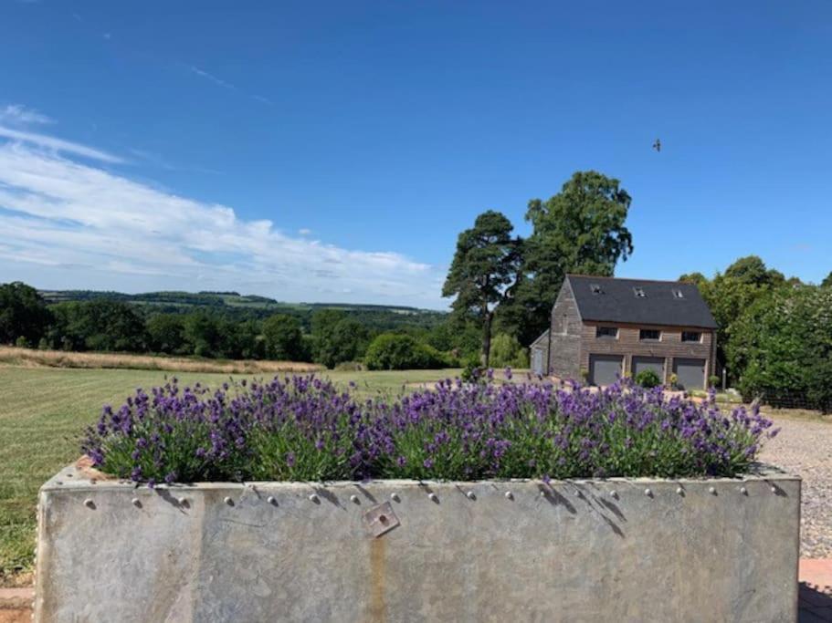 The Coach House Leilighet Alderbury Eksteriør bilde
